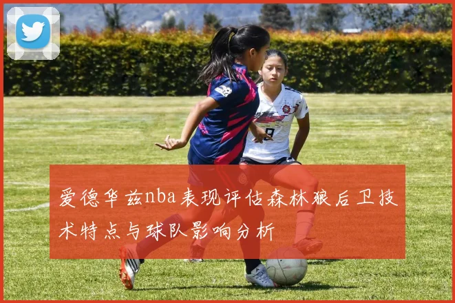 爱德华兹nba表现评估森林狼后卫技术特点与球队影响分析