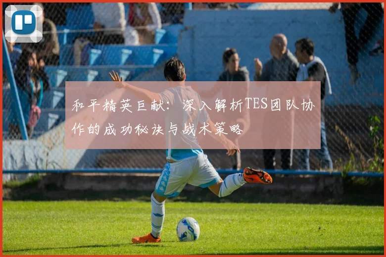 和平精英巨献：深入解析TES团队协作的成功秘诀与战术策略
